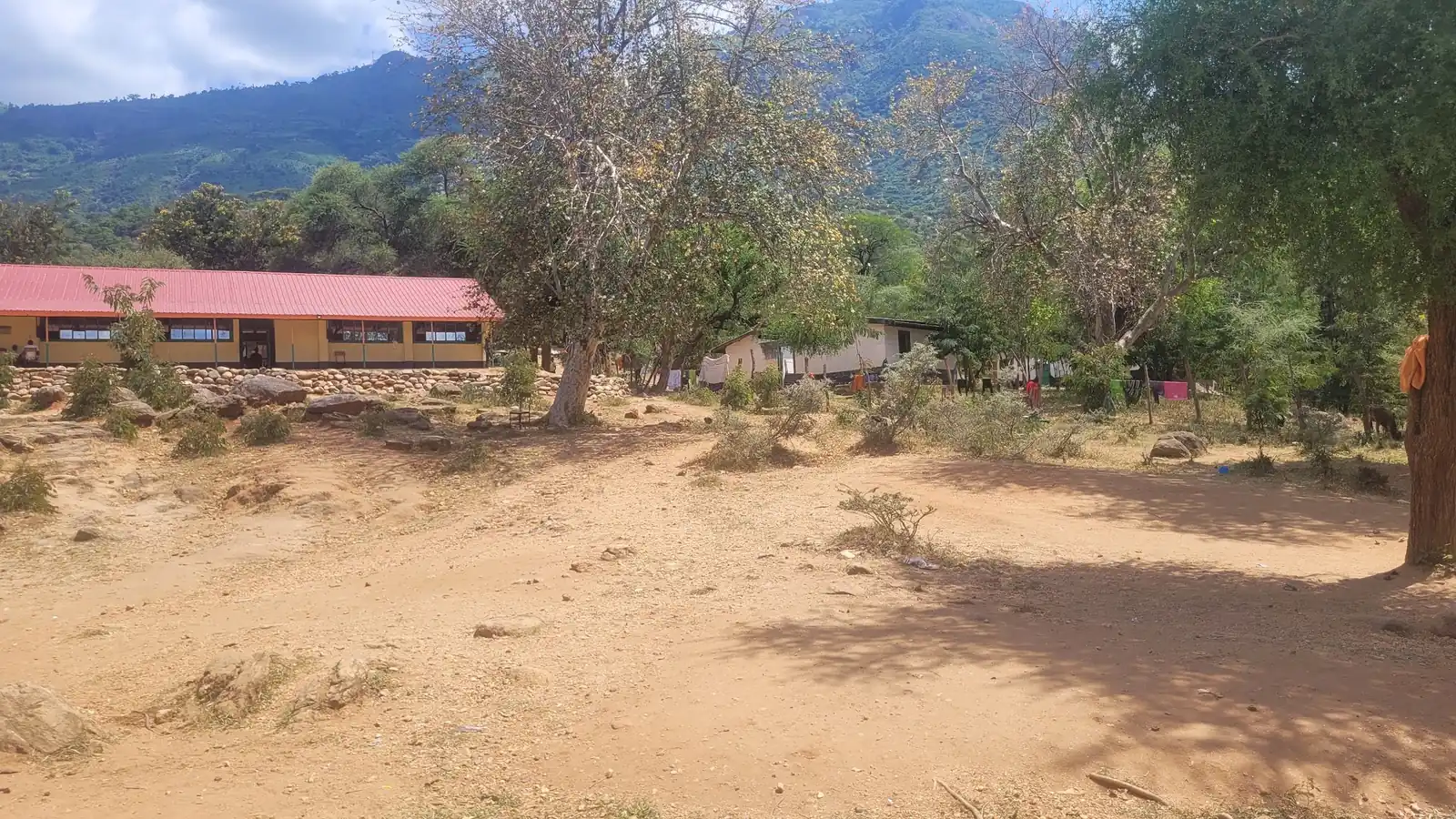 Red-roofed classroom block seen through the acacia
