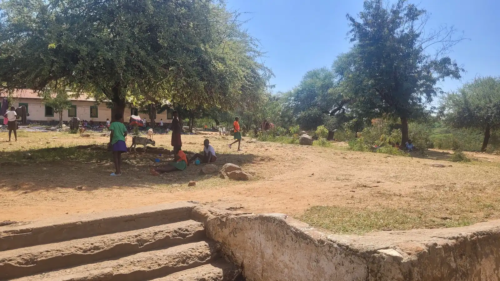Stone steps and open yard beneath the trees