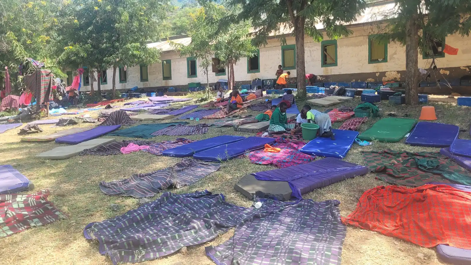Mattresses and bedding laid out across the yard to air in the sun